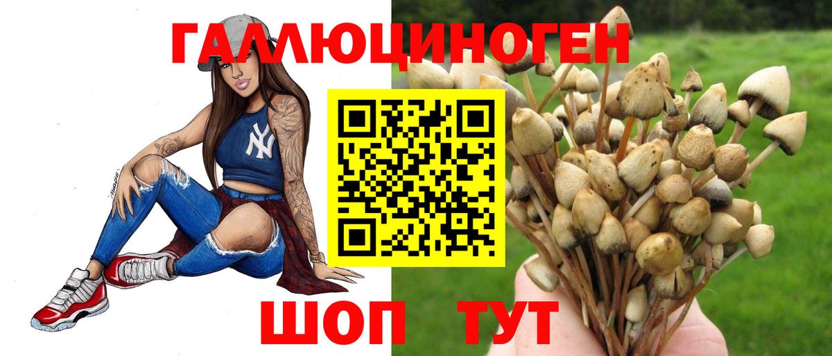 Псилоцибиновые грибы Psilocybine cubensis Котельники
